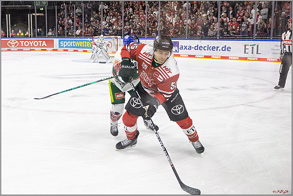 PENNY DEL;  Kölner Haie - Augsburger Panther; Köln, 20.12.2022